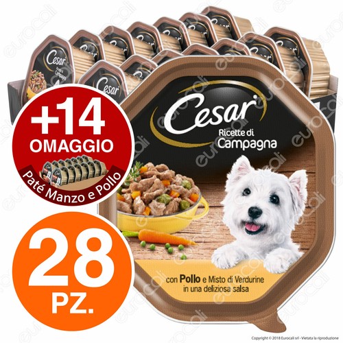 Cesar ricette campagna cibo - ricette,